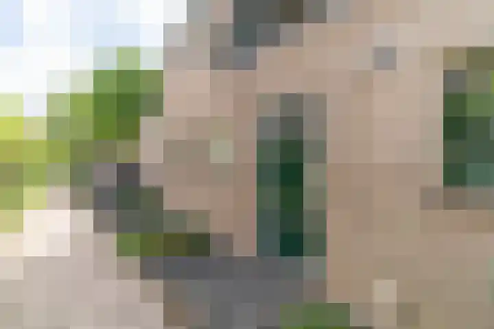 Roodborstlaan 1 B Delft thumbnail 7