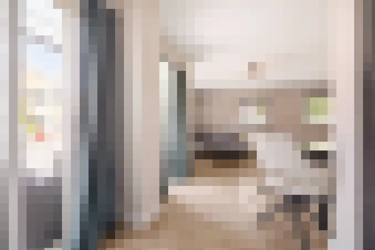 Roodborstlaan 1 F Delft thumbnail 7
