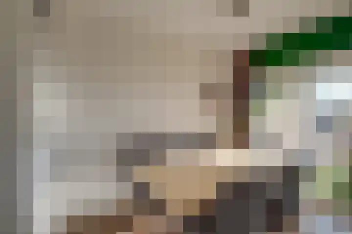 Roodborstlaan 11 Dieren thumbnail 10