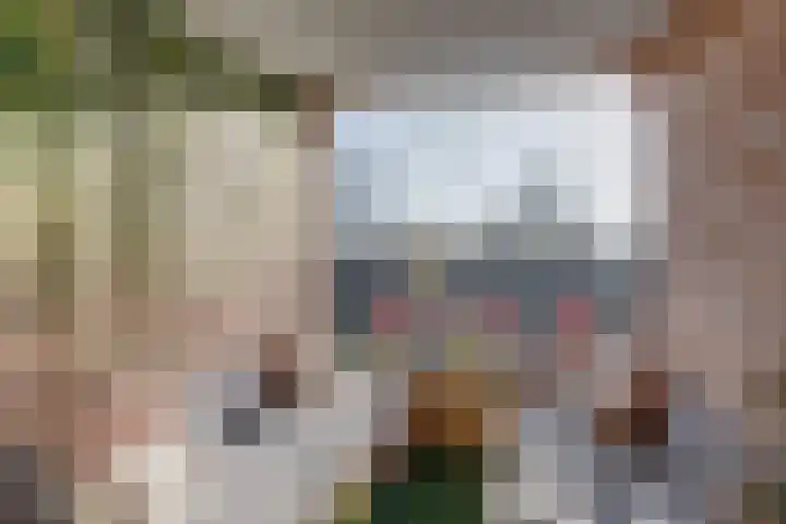 Roodborstlaan 11 Dieren thumbnail 11