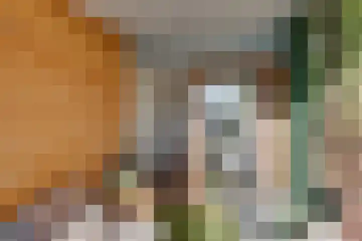 Roodborstlaan 11 Dieren thumbnail 12