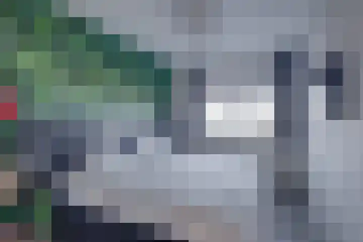 Roodborstlaan 11 Dieren thumbnail 17