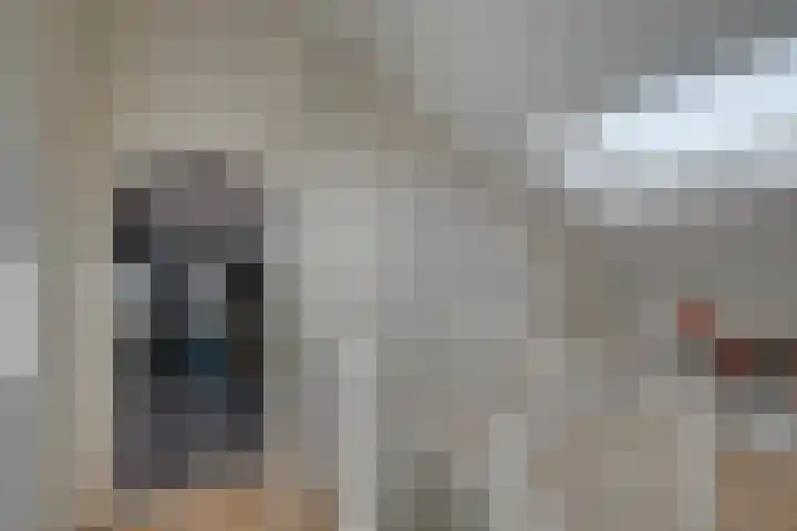 Roodborstlaan 11 Dieren thumbnail 21