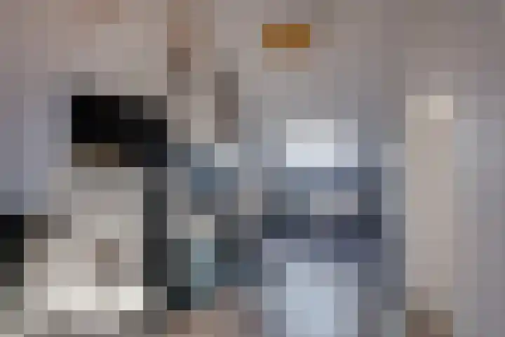 Roodborstlaan 11 Dieren thumbnail 23