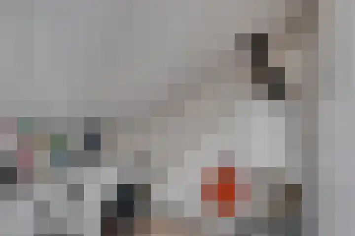 Roodborstlaan 11 Dieren thumbnail 26