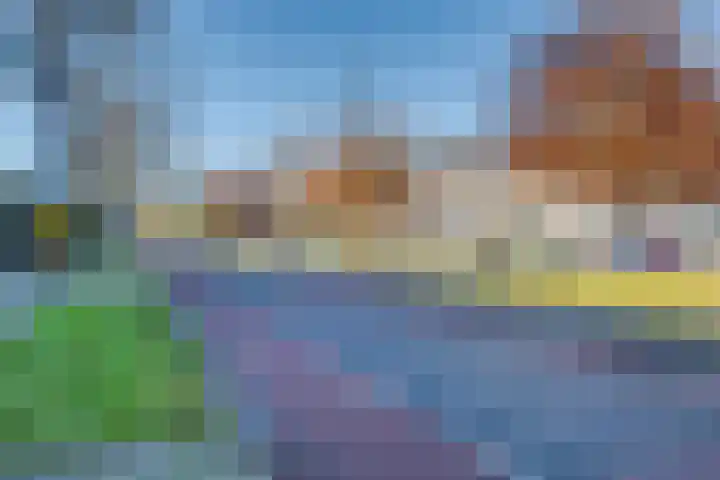 Roodborstlaan 11 Dieren thumbnail 34