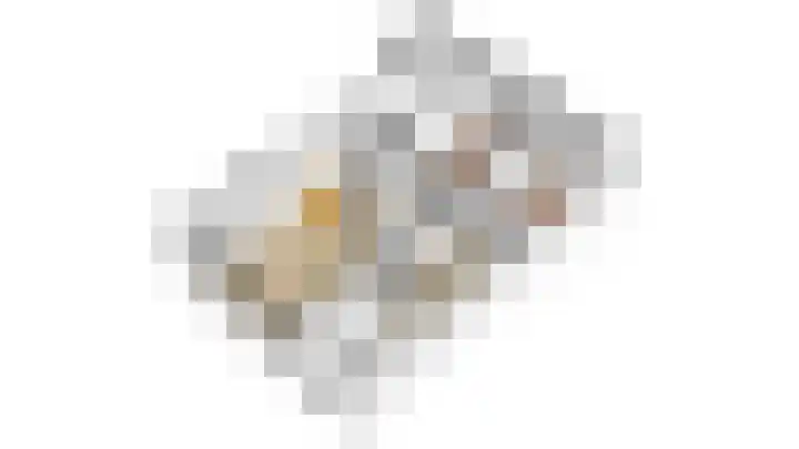Roodborstlaan 11 Dieren thumbnail 36