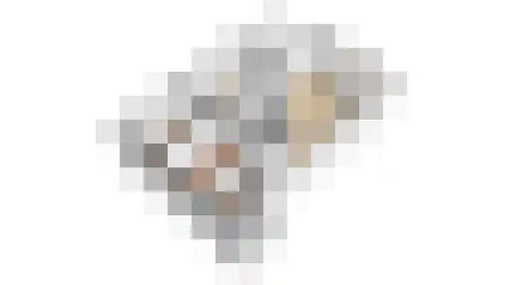 Roodborstlaan 11 Dieren thumbnail 37