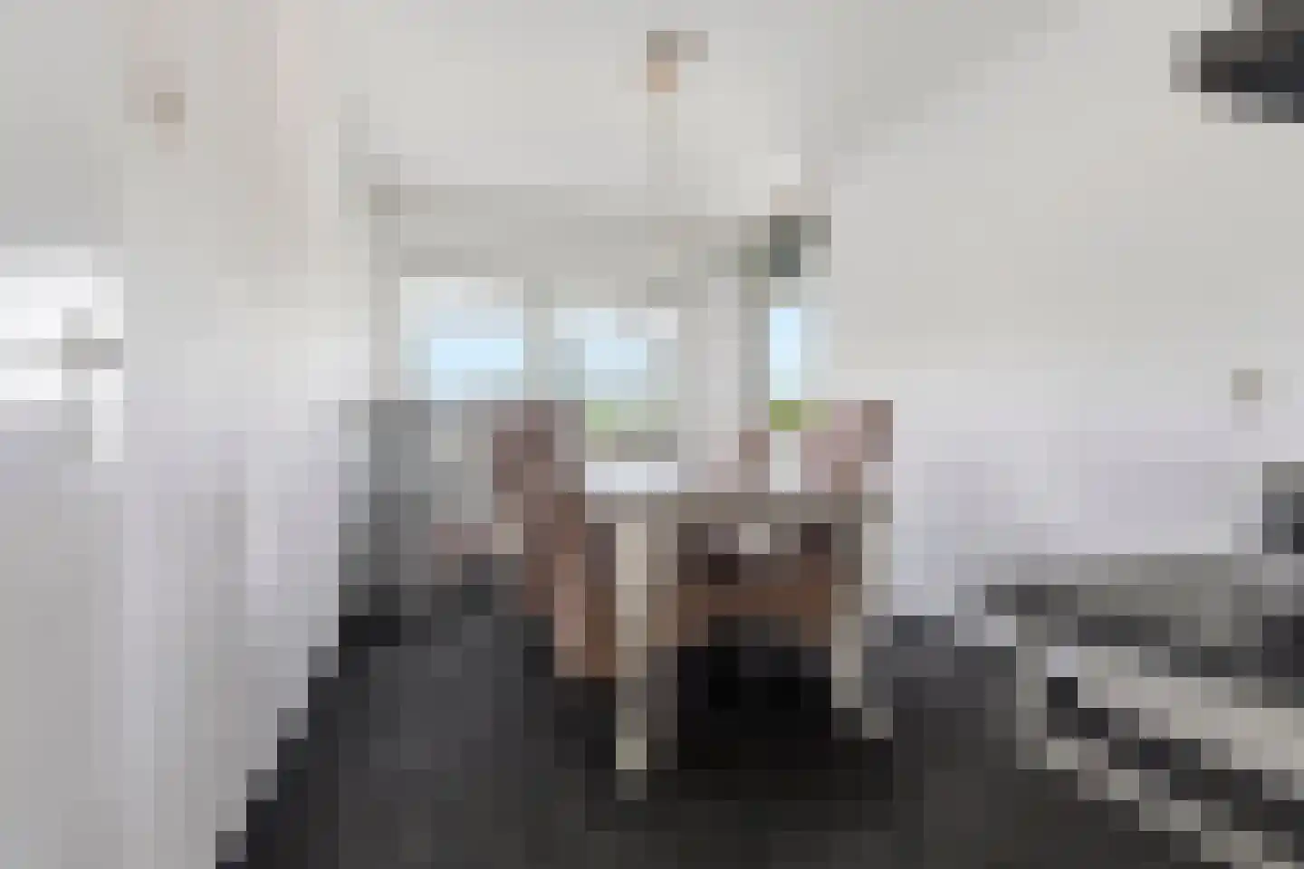 Roodborstlaan 17 Dieren thumbnail 11