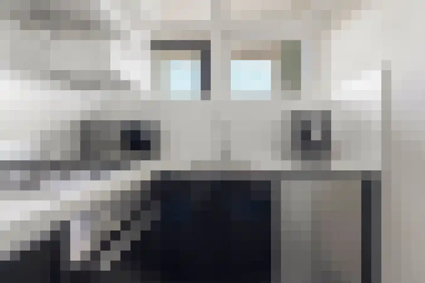 Roodborstlaan 17 Dieren thumbnail 14