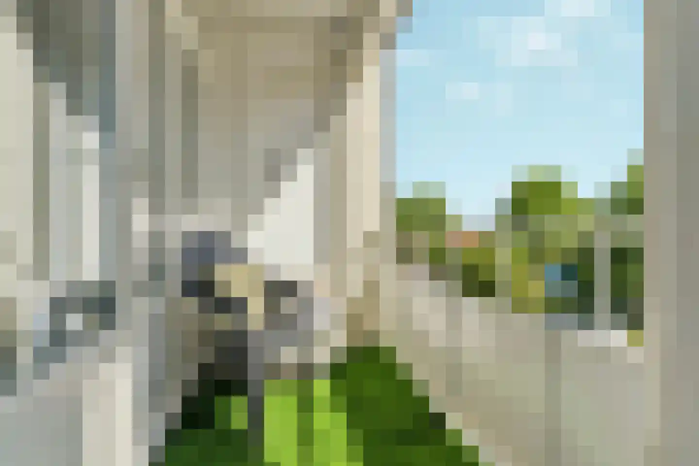 Roodborstlaan 17 Dieren thumbnail 20