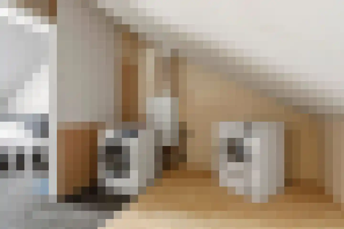 Roodborstlaan 17 Dieren thumbnail 28