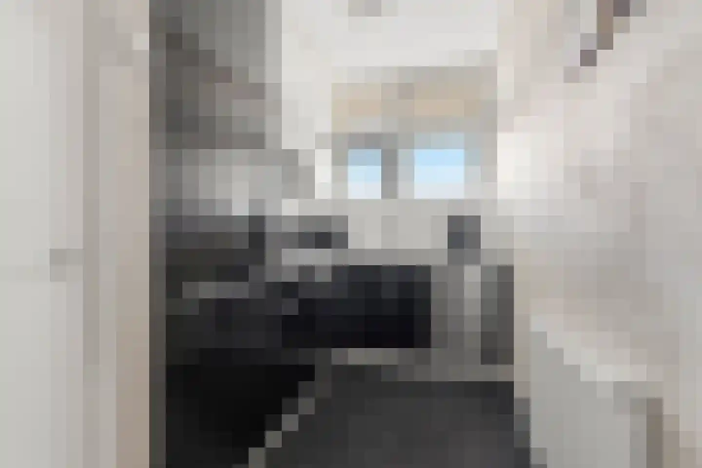 Roodborstlaan 17 Dieren thumbnail 4