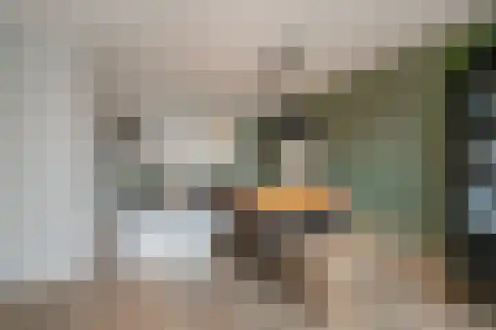 Roodborstlaan 40 Delft thumbnail 15