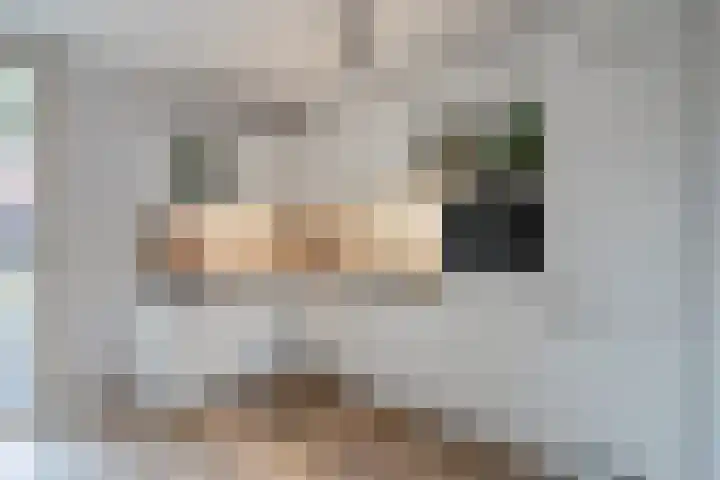 Roodborstlaan 40 Delft thumbnail 16