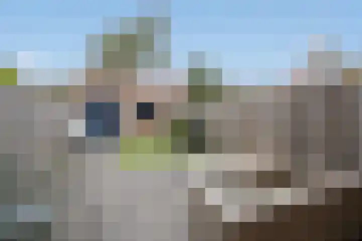Roodborstlaan 40 Delft thumbnail 20