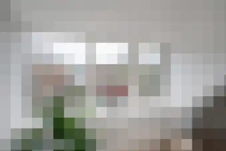 Roodborstlaan 40 Delft thumbnail 39