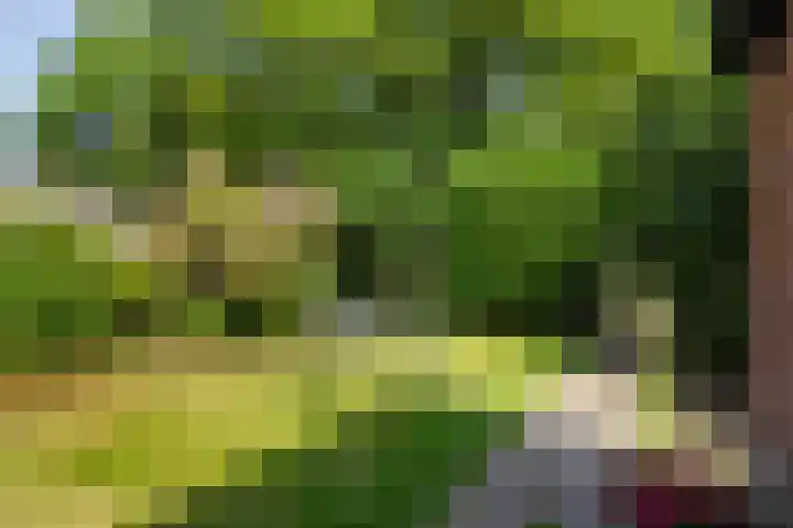 Roodborstlaan 6 Den Haag thumbnail 10