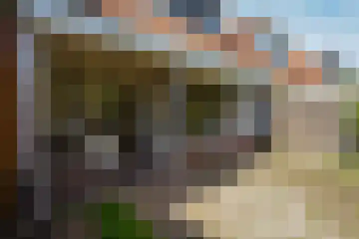 Roodborstlaan 6 Den Haag thumbnail 14