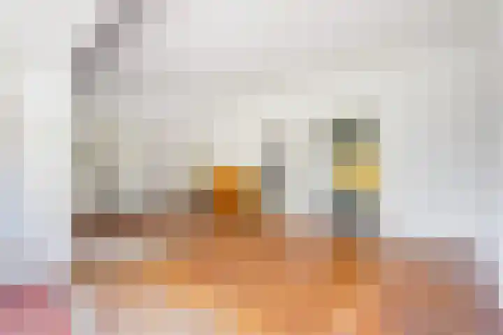 Roodborstlaan 6 Den Haag thumbnail 15
