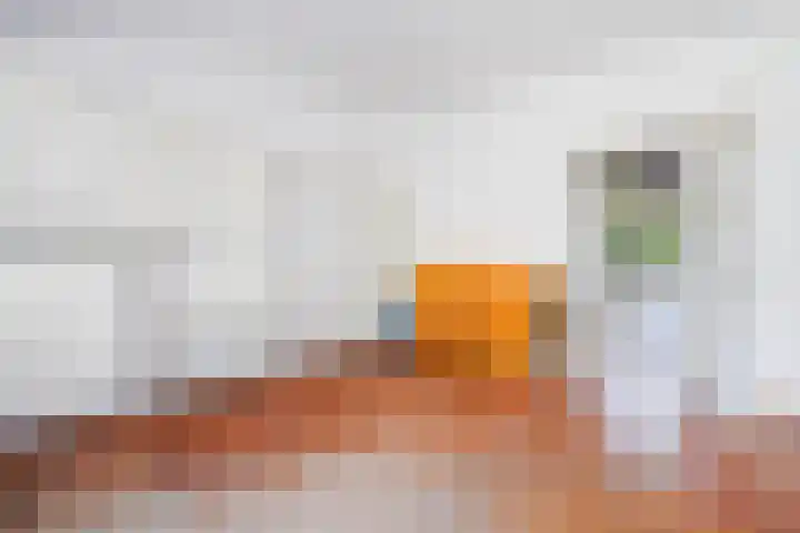 Roodborstlaan 6 Den Haag thumbnail 16