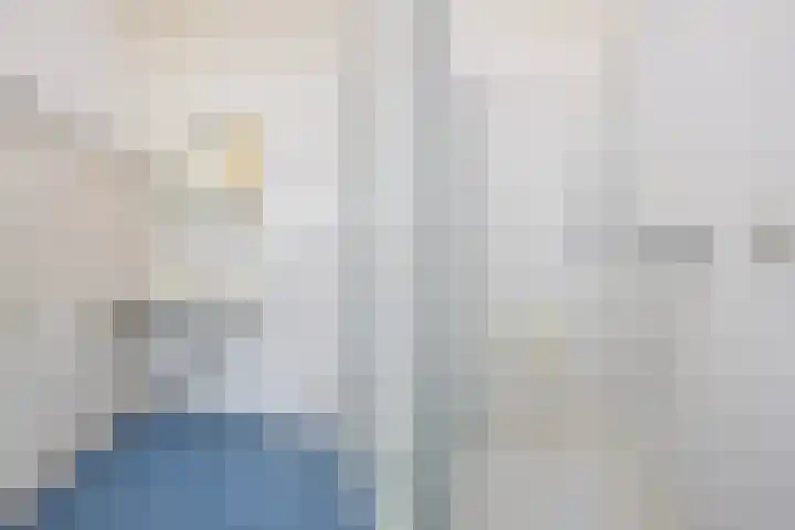 Roodborstlaan 6 Den Haag thumbnail 25
