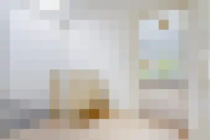 Roodborstlaan 6 Den Haag thumbnail 33