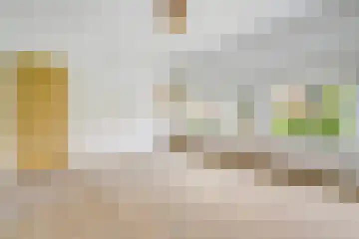 Roodborstlaan 6 Den Haag thumbnail 34