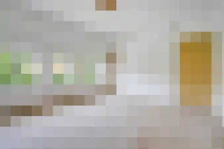 Roodborstlaan 6 Den Haag thumbnail 35
