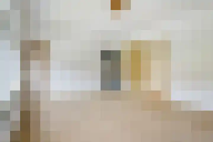 Roodborstlaan 6 Den Haag thumbnail 36