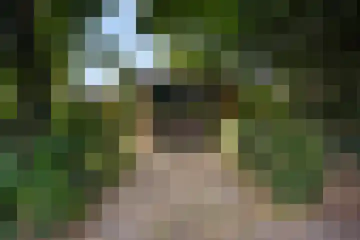Roodborstlaan 6 Den Haag thumbnail 4