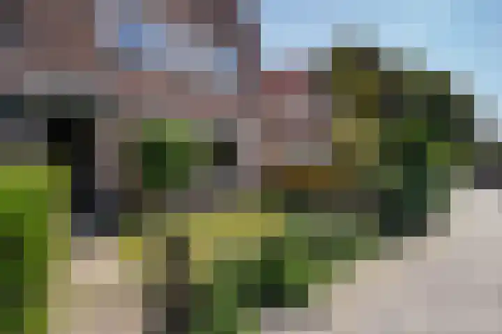 Roodborstlaan 6 Den Haag thumbnail 5