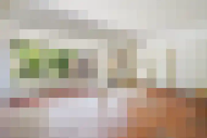 Roodborstlaan 6 Den Haag thumbnail 8