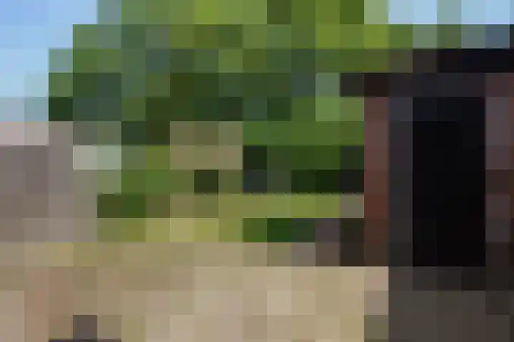 Roodborstlaan 6 Den Haag thumbnail 9