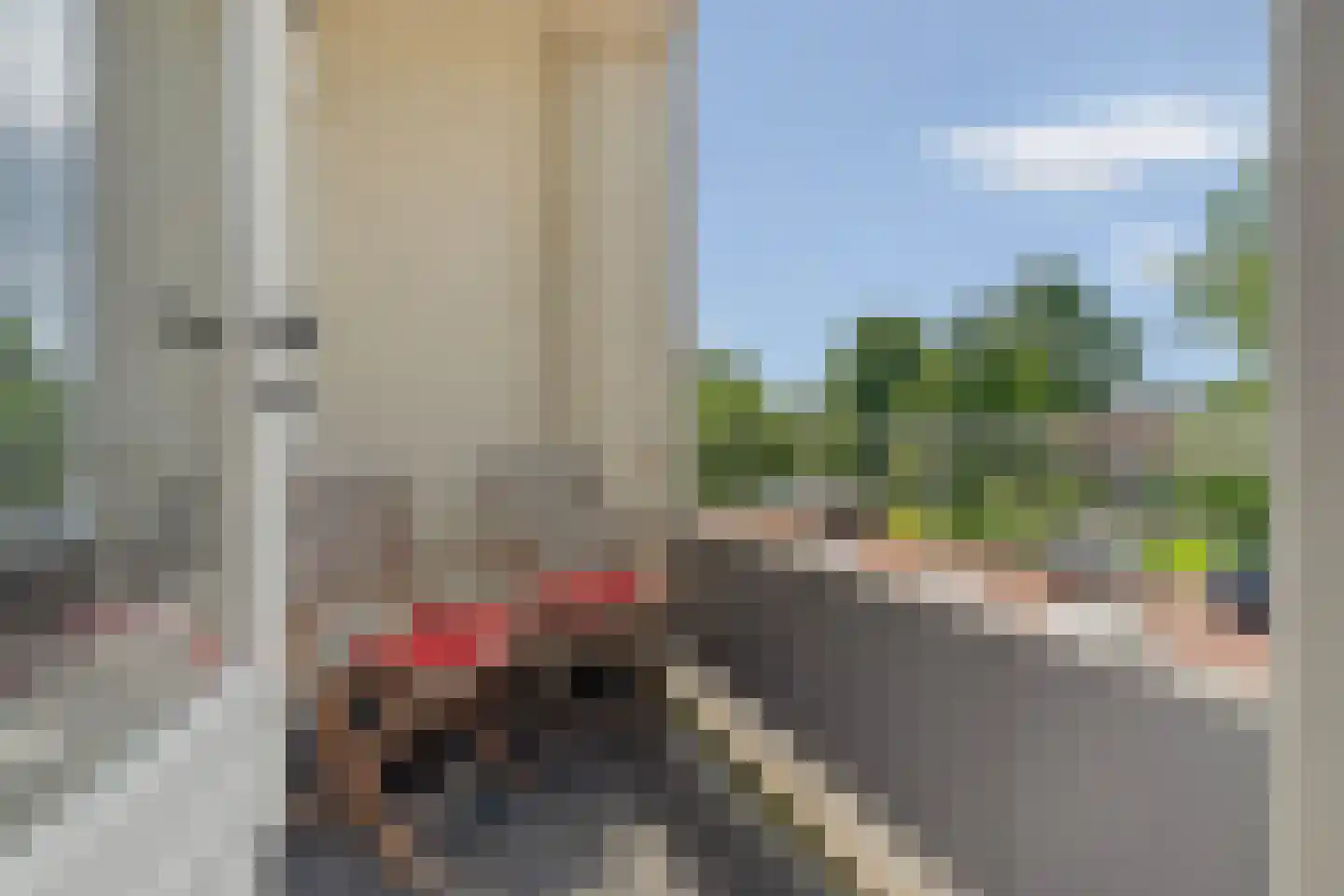 Roodborstlaan 9 Dieren thumbnail 11