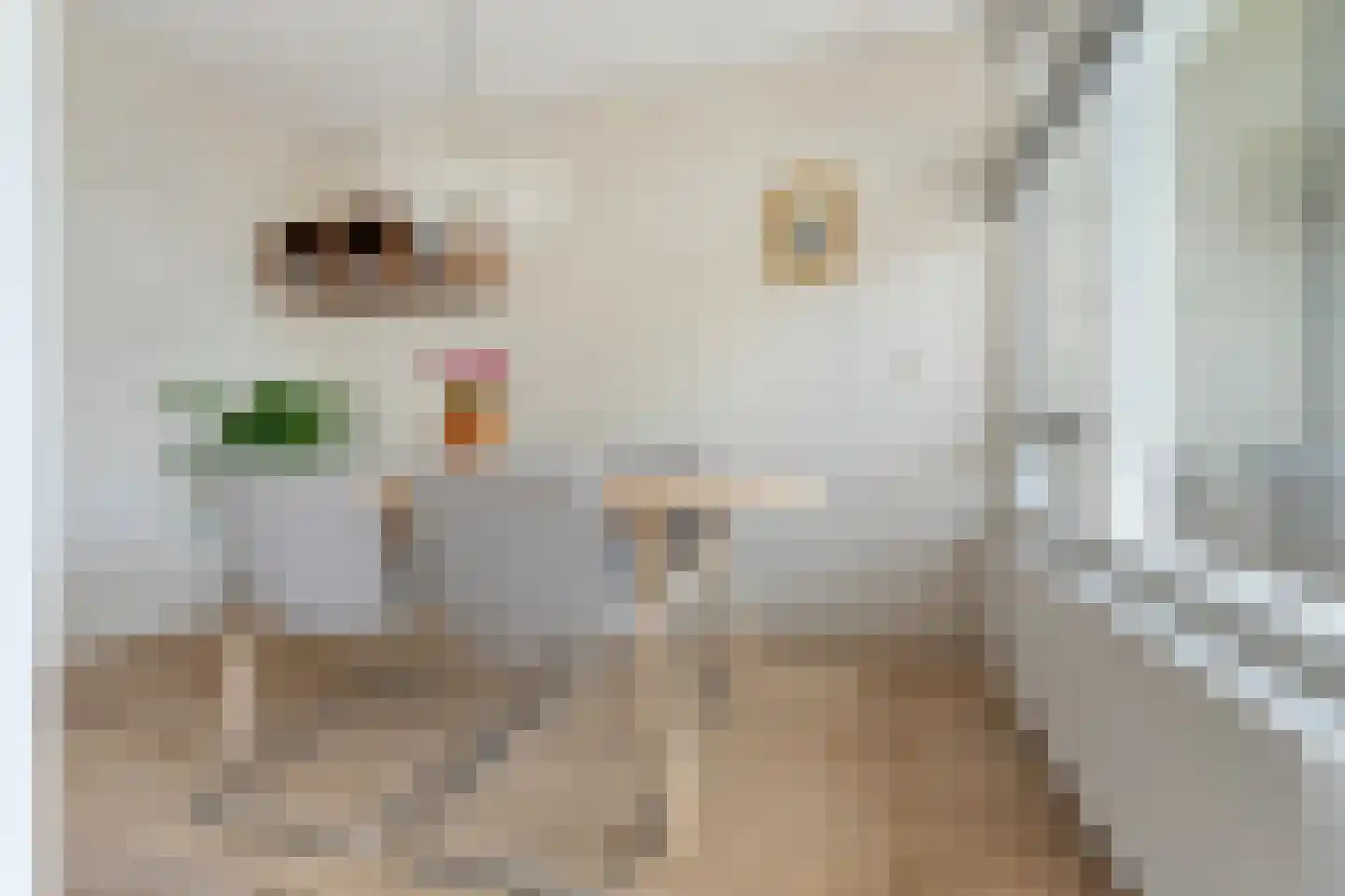 Roodborstlaan 9 Dieren thumbnail 13