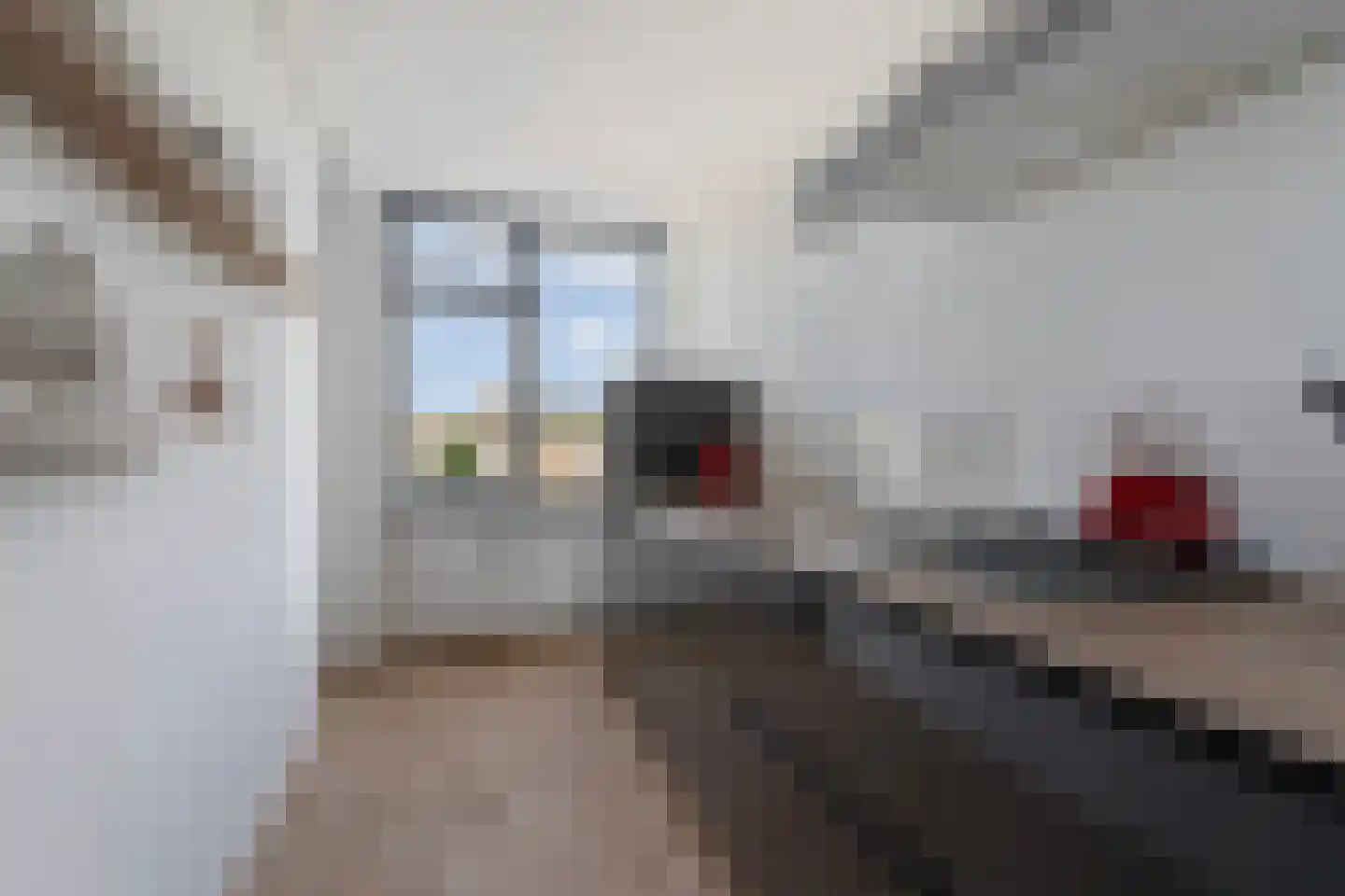 Roodborstlaan 9 Dieren thumbnail 27