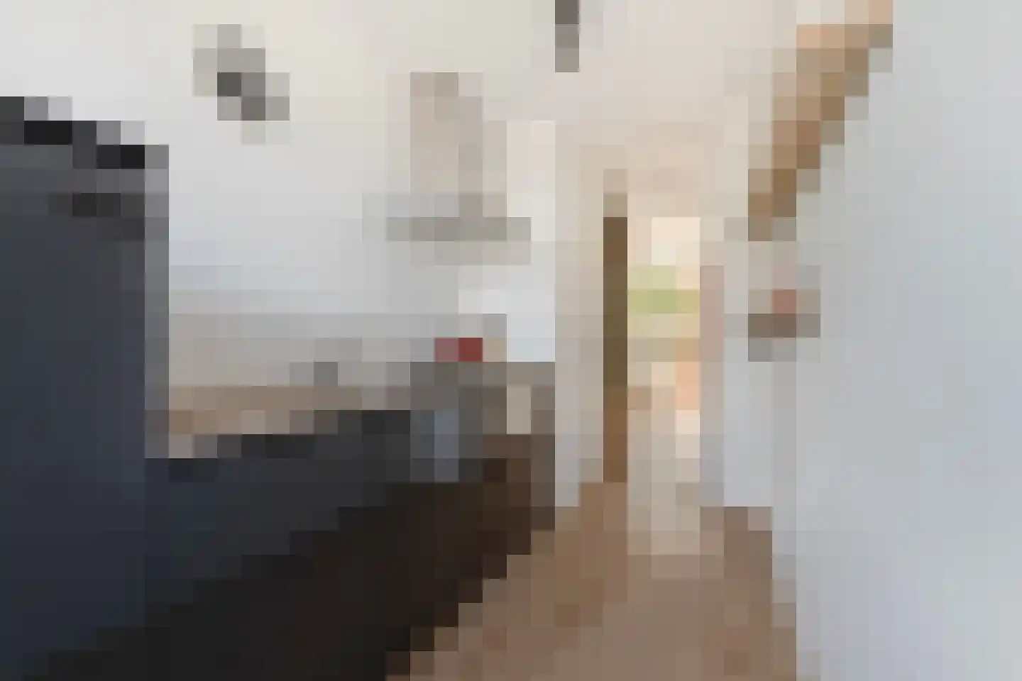 Roodborstlaan 9 Dieren thumbnail 28