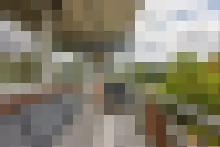 Roodborststraat 10 Leiderdorp thumbnail 13