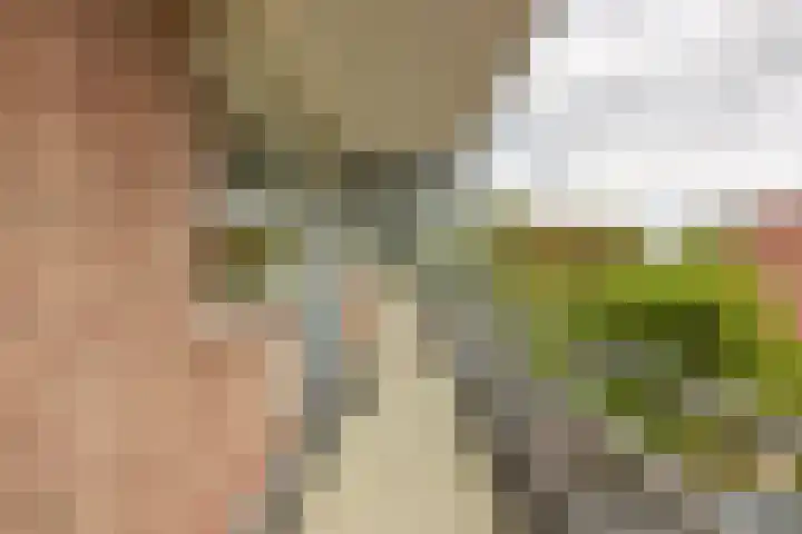 Roodborststraat 10 Leiderdorp thumbnail 24