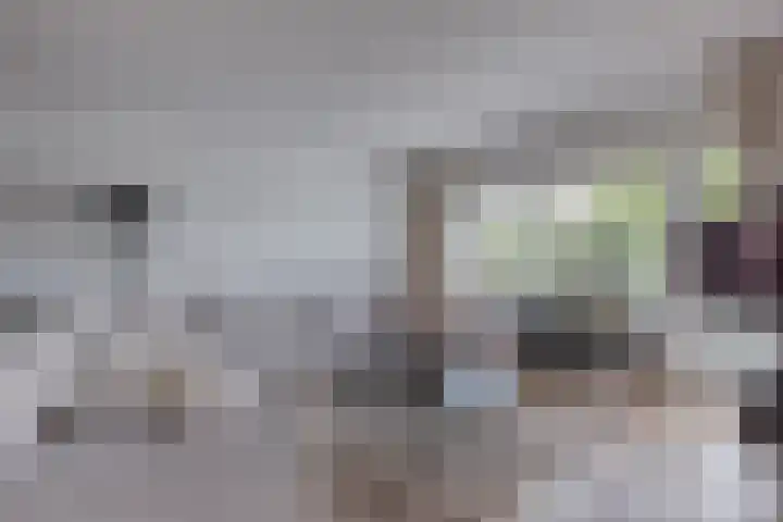 Roodborststraat 10 Leiderdorp thumbnail 5