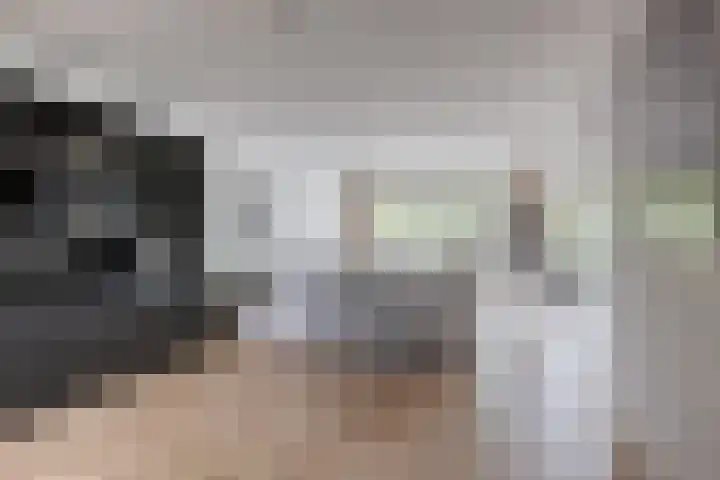 Roodborststraat 10 Leiderdorp thumbnail 6