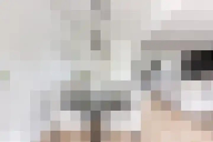 Roodborststraat 10 Leiderdorp thumbnail 8
