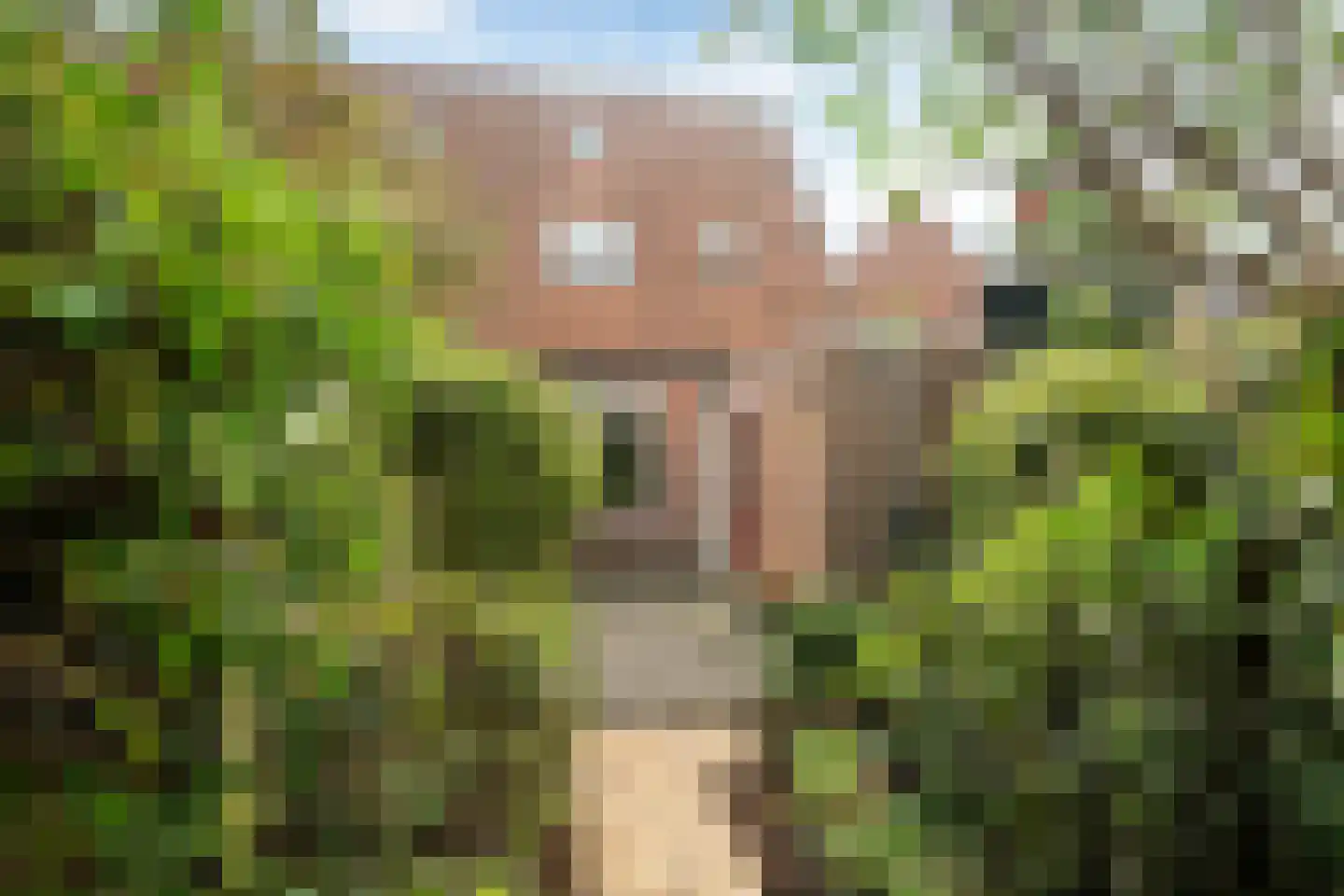 Roodborststraat 11 Leeuwarden thumbnail 21
