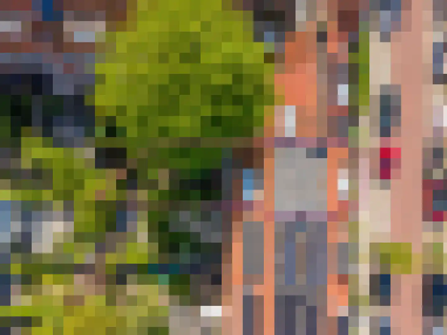 Roodborststraat 23 Leiden thumbnail 27