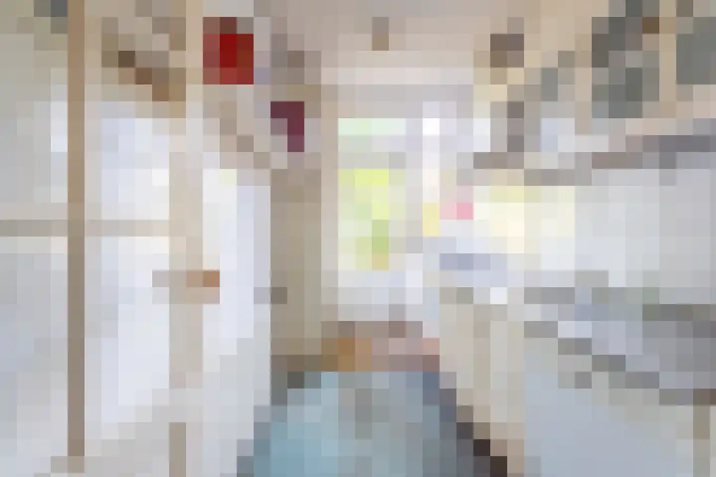 Roodborststraat 23 Leiden thumbnail 7