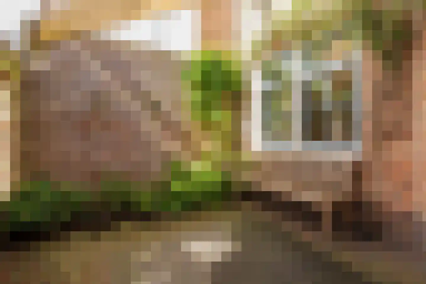 Roodborststraat 54 Leiden thumbnail 20