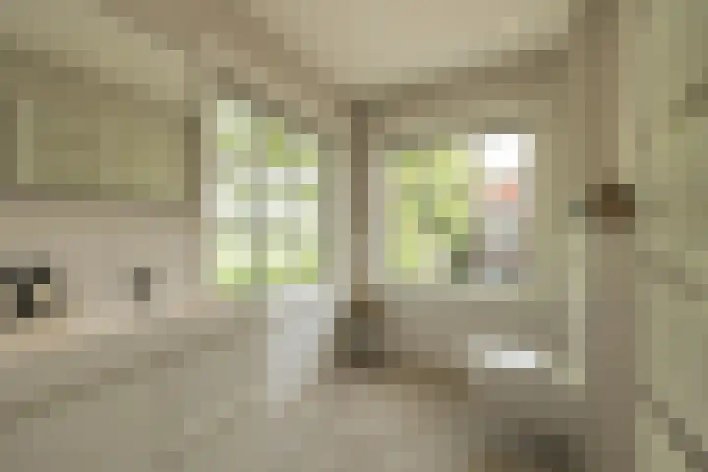 Roodborststraat 54 Leiden thumbnail 22
