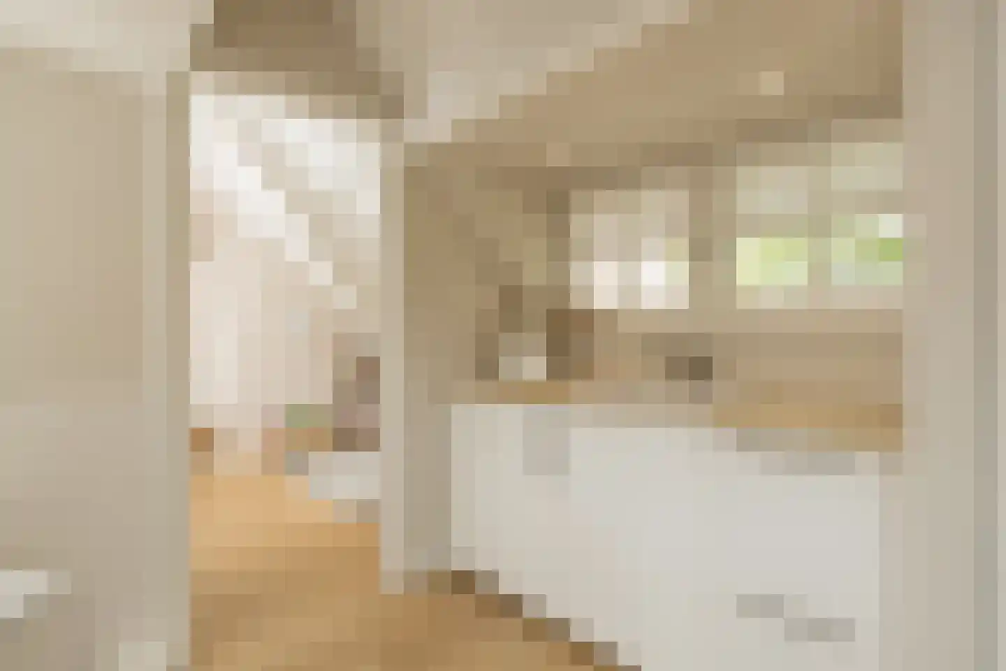 Roodborststraat 54 Leiden thumbnail 31