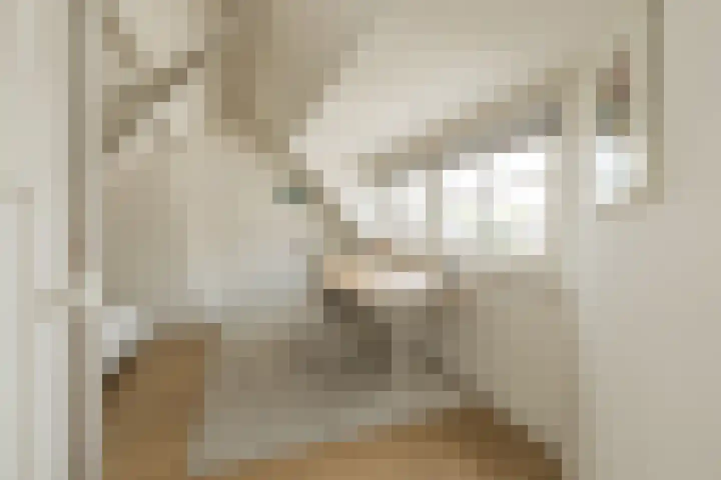 Roodborststraat 54 Leiden thumbnail 34